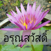 beautiful is flowers