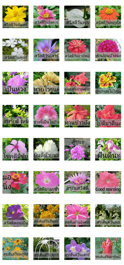 beautiful is flowers