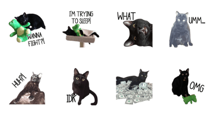 Sassy Cat Taters