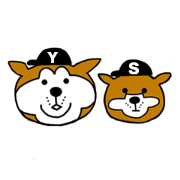 Shiba dog Yuki & Sakura
