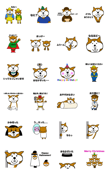 Shiba dog Yuki & Sakura