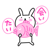 Honey Rabbit 3
