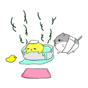 HIYO-CHAN