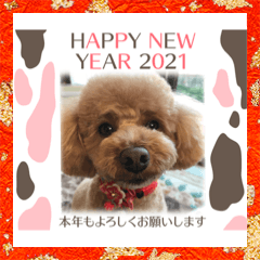 nao_20201208114137