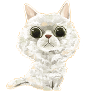 Our Story ( Cat )