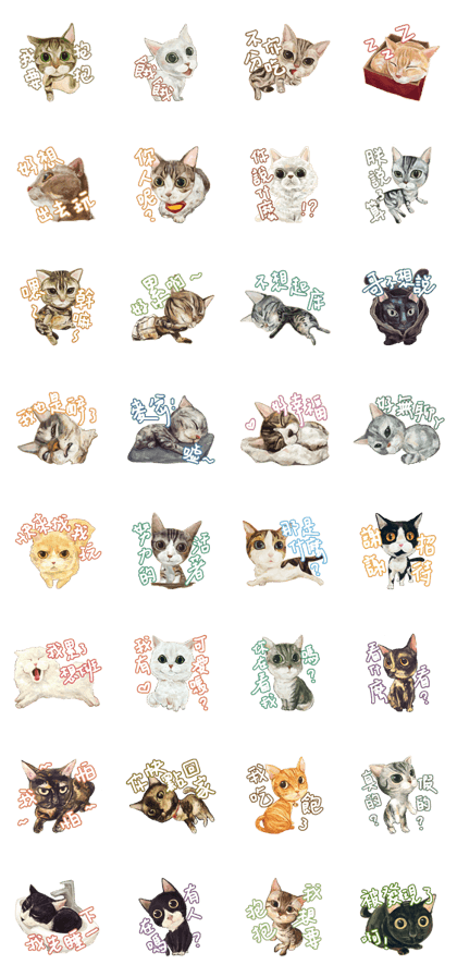 Our Story ( Cat )