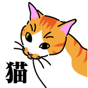 The cat do.