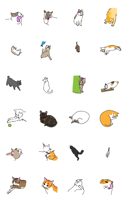 The cat do.