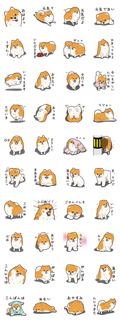 Wanko-Biyori Pomeranian