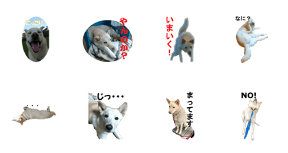 TAROUsticker