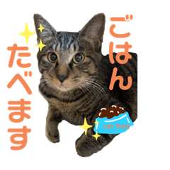 aoi_20201208162659