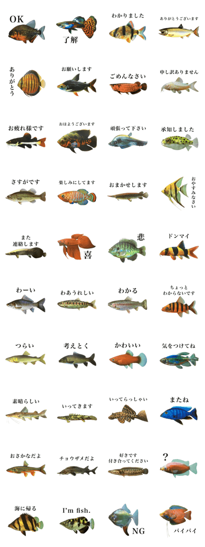 Cute tropical fish sticker