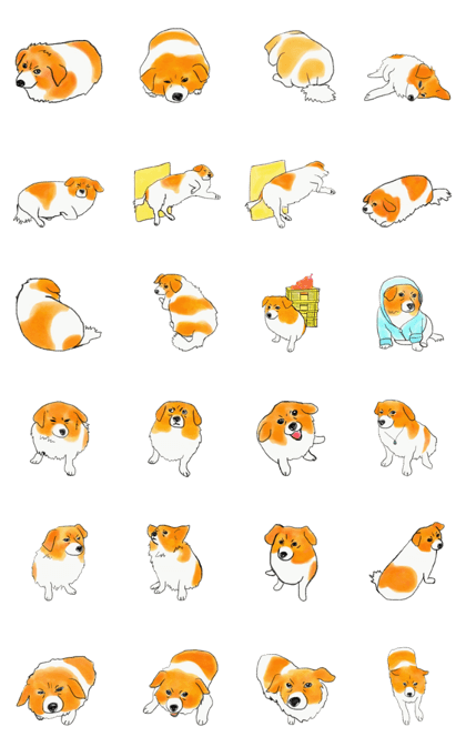 Cute dog-Sigo