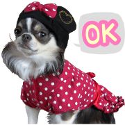 pretty dog's photo sticker(JPN Ver.)
