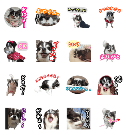 pretty dog's photo sticker(JPN Ver.)