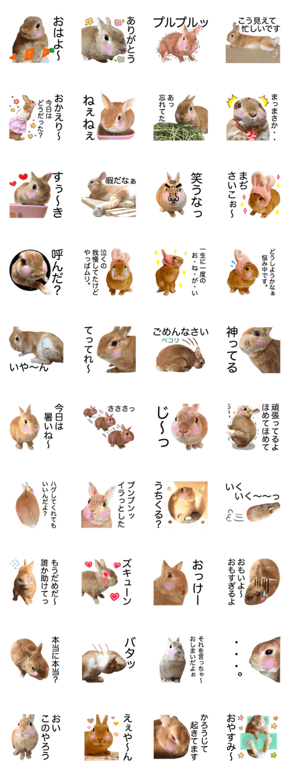 USAKO THE RABBIT Photo2