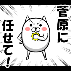 Cute Sugawara Sticker