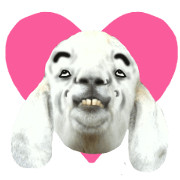 Chaos Animal Sticker