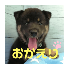 kayo_20201208192408