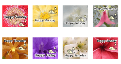 Happy every day by Nadee Creator