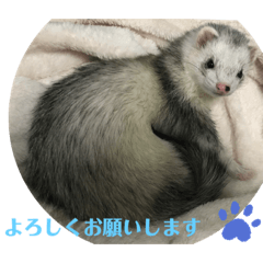 CHIE_20201208205528