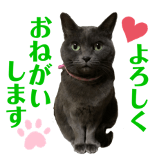 pyon_20201208211027