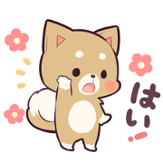 PRETTY PUPPY3