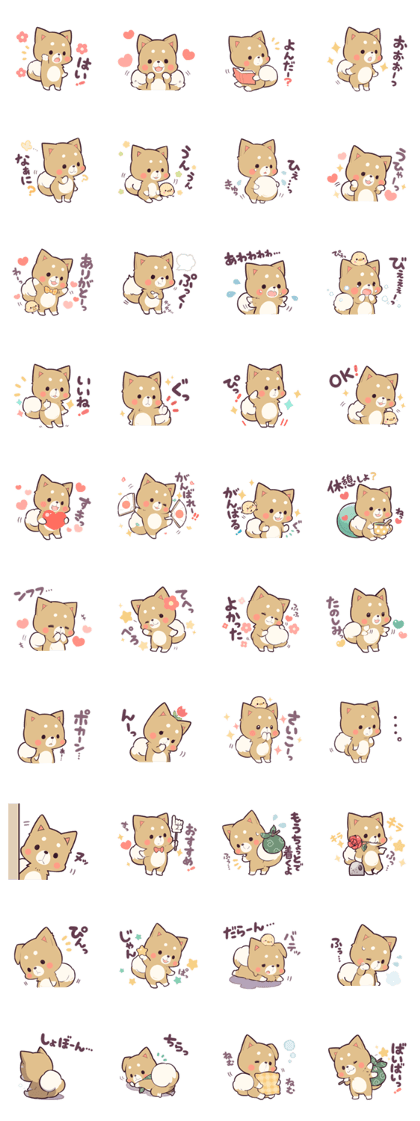 PRETTY PUPPY3