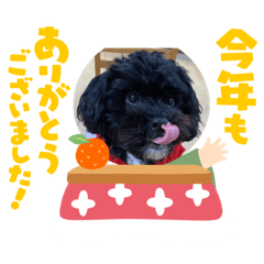 akiko_20201208235505