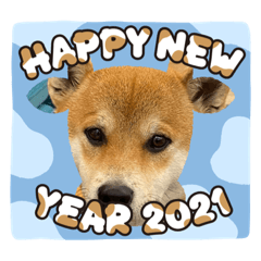 Tetsu_20201208235451