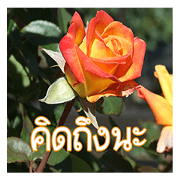 Flowers I Love You