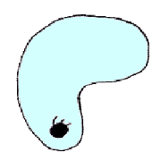 uminokonokonokonoko