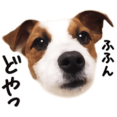 TENTEN(JRT)