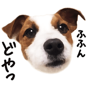 TENTEN(JRT)