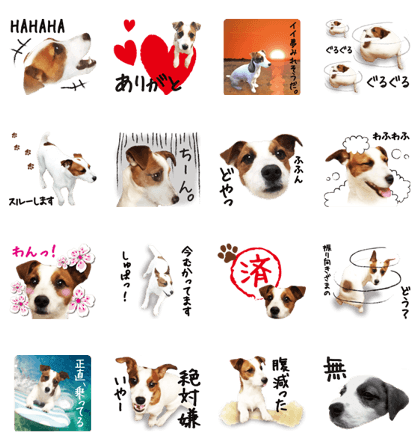 TENTEN(JRT)