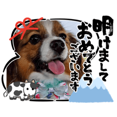 MEGUMI_20201209085603