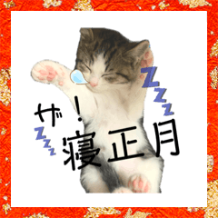 chisa_20201208232841