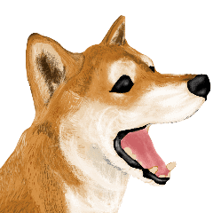 王道の犬 柴犬 Line スタンプ Line Store 王道の犬 柴犬 Line スタンプ Line Store