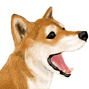 Dog of the royal road!Shiba Inu