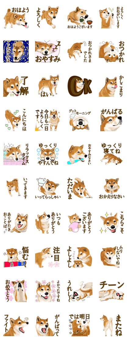 Dog of the royal road!Shiba Inu