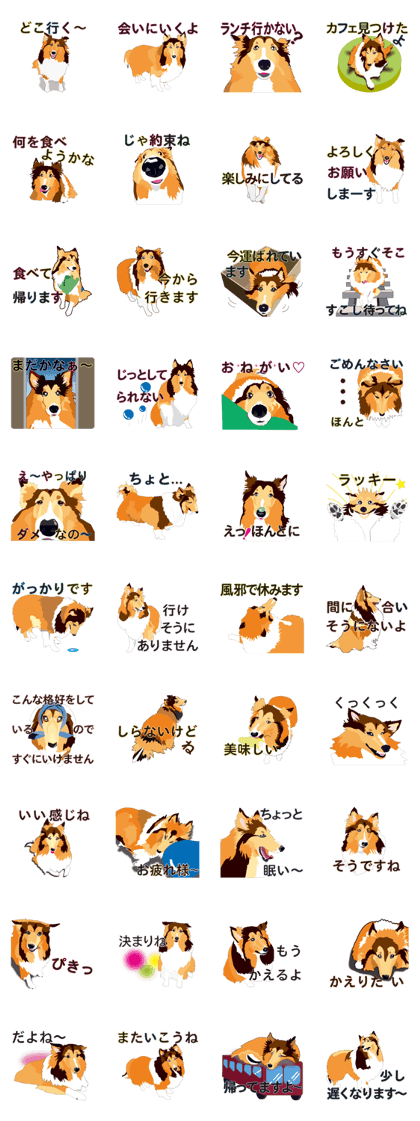 Exciting Sheltie 2