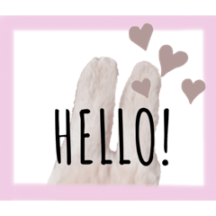 Alice_20201208235550