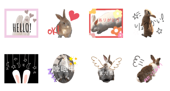 可愛いうさぎたち Lineクリエイターズスタンプ Stamplist 可愛いうさぎたち Lineクリエイターズスタンプ Stamplist