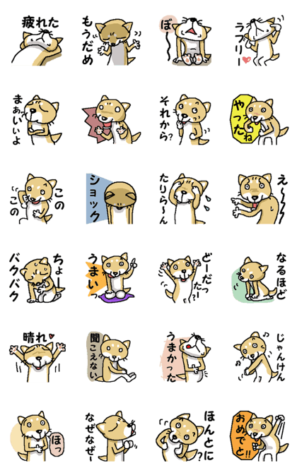 Mr. Shiba 7