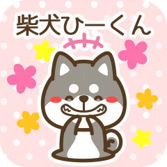 Hiikun became Black Shiba