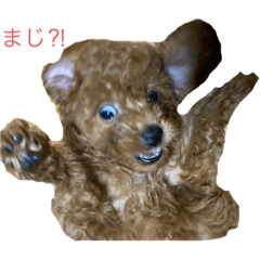 MIKI_20201209120915