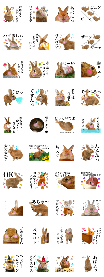 PEACH THE RABBIT USAGI 2