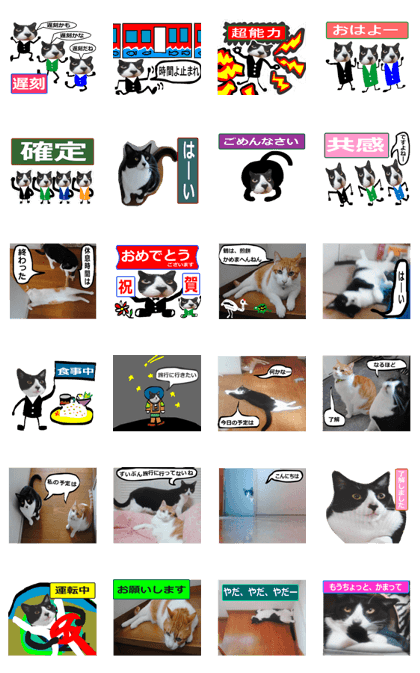 sticker japan cat&gin Photo version 9