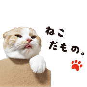 cat's HANA!