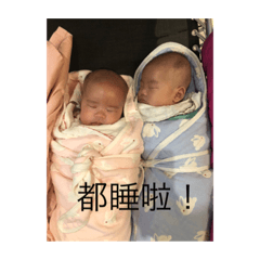 三隻小蝸牛